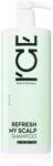 Natura Siberica ICE Professional Refresh My Scalp șampon detoxifiant pentru curățare 1000 ml