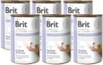 Brit Brit Grain Free Veterinary Diet kutya gyomor-bélrendszeri táp lazaccal és borsóval 6x400g