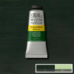 Winsor & Newton Galeria 311 hookers green 60 ml