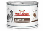 Royal Canin Canine/Feline Recovery Ultra Soft Mousse 195g