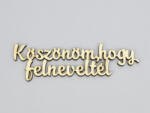  Natúr fa - "Köszönöm, hogy felneveltél" felirat 4x15cm - kosarbolt