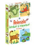 Didactica Publishing House Animale - Intrebari si Raspunsuri - 50 de Jetoane (5948489355806)