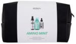 Redken Amino-Mint Shampoo set cadou set