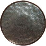 COSTA NOVA Farfurie întinsă Costa Nova Lagoa 31 cm, metalică