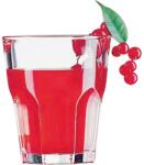Arcoroc Pahar pentru băuturi mixte/cocktailuri Arcoroc Granity 275 ml marcat 0, 2 l Pahar