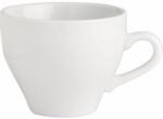 Tognana Ceașcă pentru cappuccino Tognana 220 ml