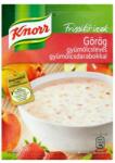 Knorr Instant KNORR Görög gyümölcsleves 54g (68654496) - robbitairodaszer