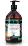 Barwa Cremă pentru mâini și corp cu iasomie și aloe vera - Barwa Natural Expert Moisturizing Hand & Body Liquid Soap Jasmine + Aloe Juice 500 ml