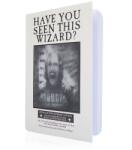 ABYstyle Caiet ABYStyle HARRY POTTER Lenticular The Daily Prophet Alb (GIFWOW014)