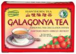 Dr. Chen Patika Galagonya Tea - 20filter - vitaminbolt