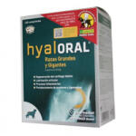 Farmadiet Hyaloral Large Breed 12 tablete blister