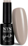 NTN Premium UV/LED 10#