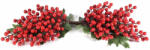 Decorer Set 2 crengute fructe rosii artificiale 53.5 cm (A54.46.06) - decorer
