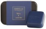 Sorvella Perfume Aromatizator auto - Parfum Sorvella Parfumuri auto condimentate și lavanda