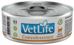 Vet Life Vet Life Cat Convalescence 6x85g