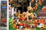 NORIMPEX - Puzzle Pictura cu diamant: Distracție de toamnă 30x40cm - 1 - 39 piese