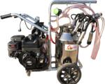 Gardelina Aparat de muls vaci, cu motor Briggs Electric Start, 7 CP, 2 posturi, 40 L inox, 180 L min, T 240 IN IC (18001803)