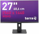 WORTMANN TERRA 2775W PV V2 3030218 Monitor