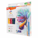 Deli Color Emotion színes ceruza 24 db (DEC00720)