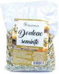 EcoNatur Seminte de dovleac, 500g, EcoNatur - drmax