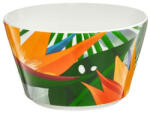 Ambition Bol salata 14cm, Paradise (69061) Castron