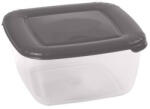 Domotti Caserola cu capac gri 0.46L, Albert (83493)