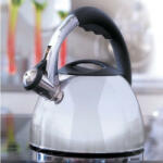 AMBITION Ceainic inox 2.1L(2.5L), Nebraska (62443)