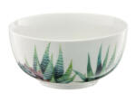 Ambition Bol mic 13cm, model aloe, Cactus (99310) Castron