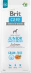 Brit Care Dog Grain-Free Junior Large Breed Salmon 2x12kg
