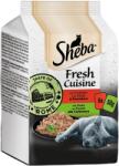 Sheba Fresh Cuisine Rome MP macska tasak 6x50g