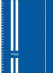 Dayliner Naptár, tervező, A5, heti, DAYLINER, InSpiral , fehér-kék (DL4AG-ISFA5HE-HK) - molnarpapir