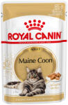 Royal Canin FBN Maine Coon 48x85 g