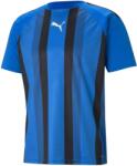 PUMA Bluza Puma teamLIGA Striped Jersey 70492002 Marime M (70492002)