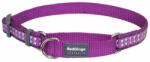 Red Dingo Martingale Reflective nyakörv S lila