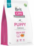 Brit Dog Grain-free Puppy Salmon 3 kg