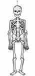  Halloweeni világító csontváz 120 cm