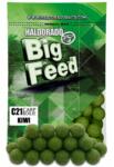 Haldorádó Big Feed - C21 Boilie - Kiwi (HD24795) - pecadepo