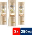 Dove Body Love Care önbarnító testápoló világos (3x250 ml) - pelenka