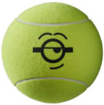Wilson Minge tenis pentru autografe "Wilson Minions 9 Jumbo ball - yellow + marker