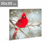Family LED-es fali kép - vörös pinty - 30 x 30 cm Family 58478 (58478)
