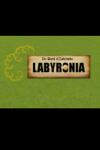 Conglomerate 5 The World of Labyrinths Labyronia (PC)