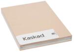 KASKAD Dekorációs karton KASKAD A/4 160 gr pasztell vegyes színek 5x25 ív/csomag - rovidaruhaz