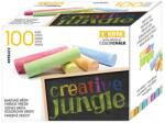 Creative Jungle Táblakréta CREATIVE JUNGLE színes kerek 100 darabos