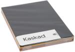 KASKAD Dekorációs karton KASKAD A/4 160 gr élénk vegyes színek 5x25 ív/csomag
