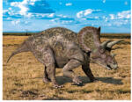  3D mágnes triceratops 9x7cm