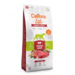 Calibra Life Junior Large Fresh Beef 12 kg