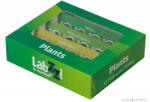Levenhuk LabZZ P12 Növények - előkészített tárgylemez készlet (72869)