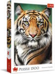 Trefl 1500 db-os puzzle - Tigris portréja (26204) (26204)
