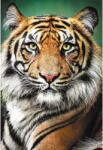 Trefl 26204 - Tigris portréja - 1500 db-os puzzle (26204)