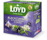 LOYD piramis tea feketerib-bodza 40g